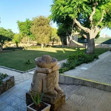 Quinta Aves - Estudio 6 * Odiáxere